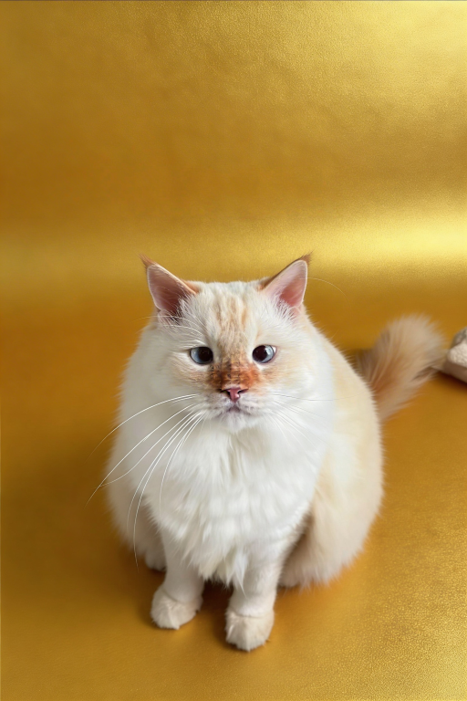 Oliver Photoshoot